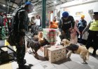 Cegah Peredaran Narkoba KAI Daop 7 Madiun Lakukan Sidak Parcel Libatkan K9